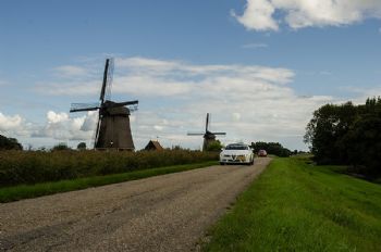 title="Noord-Hollandrit